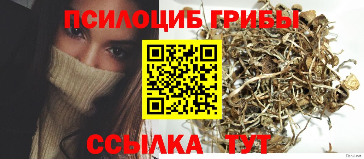 Галлюциногенные грибы Cubensis  Вход с VPN  Биробиджан  Псилоцибиновые грибы GOLDEN TEACHER 